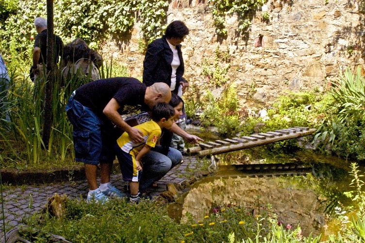 Il Laghetto del Centro di Entomologia - Piombino (LI)